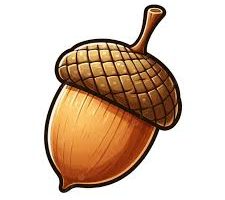 Acorn for mac
